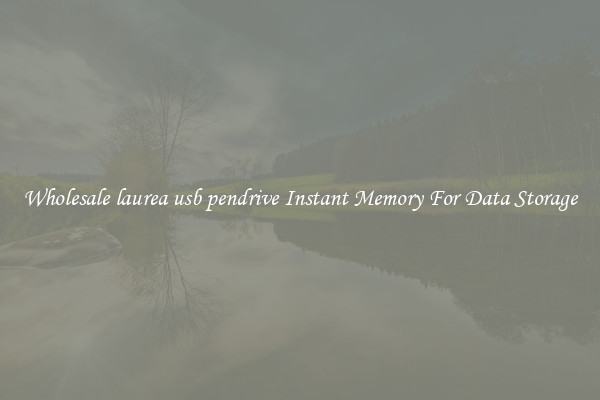 Wholesale laurea usb pendrive Instant Memory For Data Storage