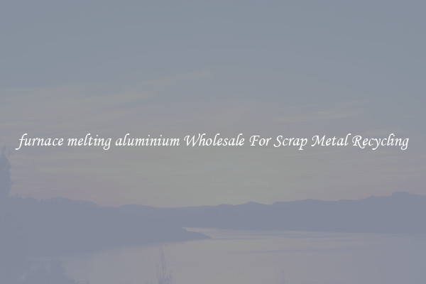 furnace melting aluminium Wholesale For Scrap Metal Recycling