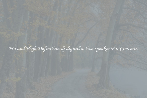 Pro and High Definition dj digital active speaker For Concerts 