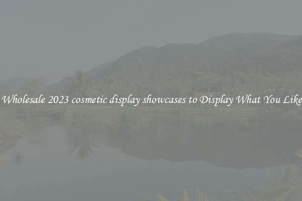 Wholesale 2023 cosmetic display showcases to Display What You Like