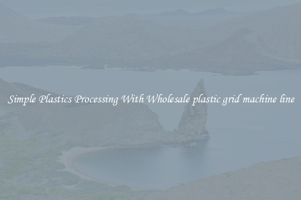 Simple Plastics Processing With Wholesale plastic grid machine line
