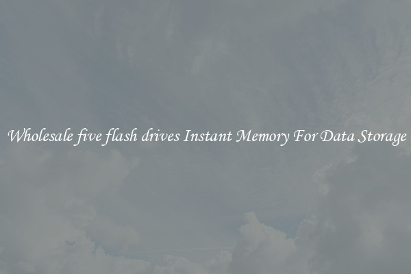 Wholesale five flash drives Instant Memory For Data Storage