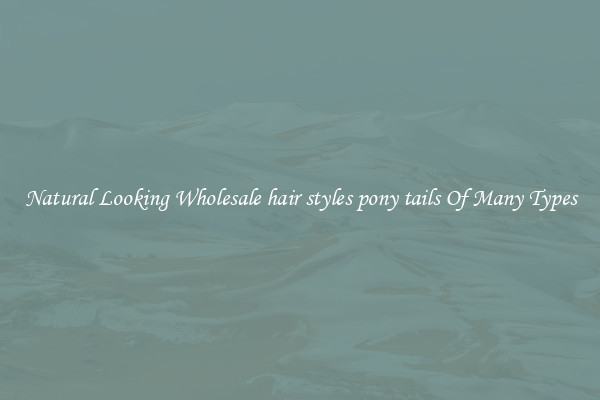 Natural Looking Wholesale hair styles pony tails Of Many Types
