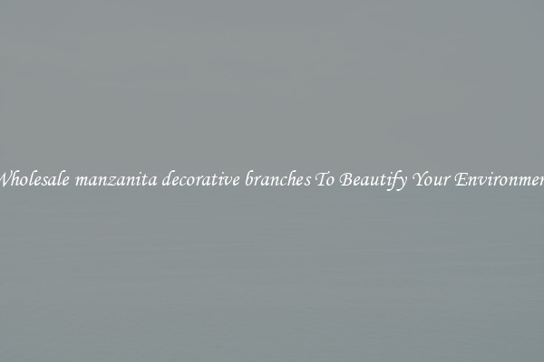 Wholesale manzanita decorative branches To Beautify Your Environment