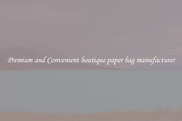 Premium and Convenient boutique paper bag manufacturer
