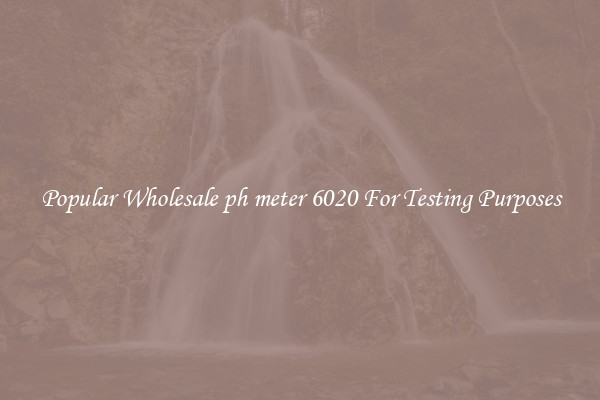Popular Wholesale ph meter 6020 For Testing Purposes