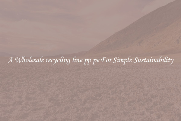  A Wholesale recycling line pp pe For Simple Sustainability 
