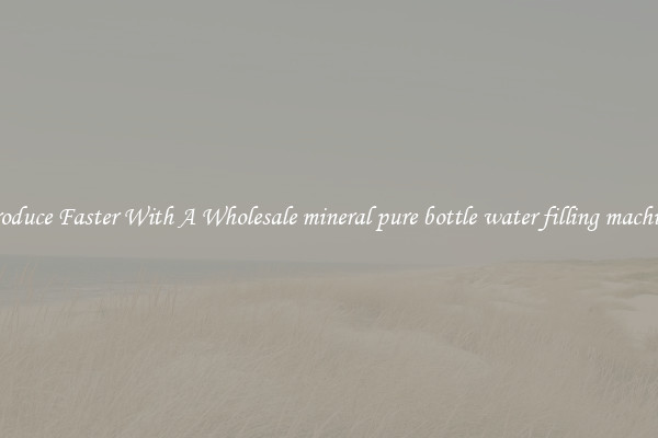 Produce Faster With A Wholesale mineral pure bottle water filling machine