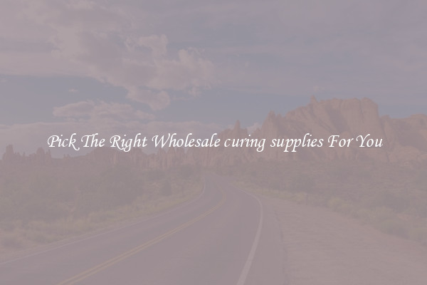 Pick The Right Wholesale curing supplies For You