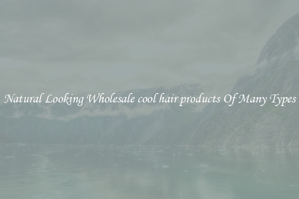 Natural Looking Wholesale cool hair products Of Many Types