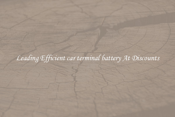 Leading Efficient car terminal battery At Discounts