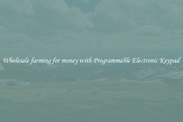 Wholesale farming for money with Programmable Electronic Keypad 