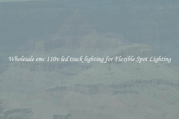 Wholesale emc 110v led track lighting for Flexible Spot Lighting