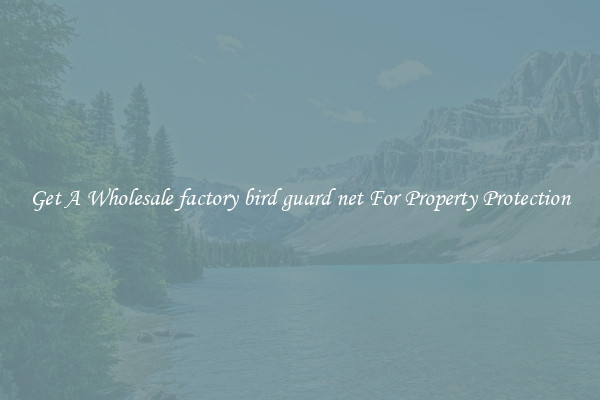 Get A Wholesale factory bird guard net For Property Protection