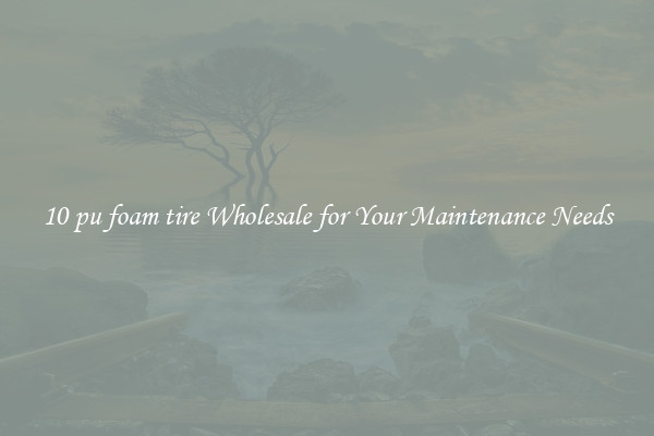 10 pu foam tire Wholesale for Your Maintenance Needs