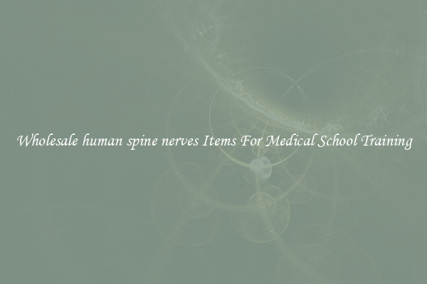 Wholesale human spine nerves Items For Medical School Training