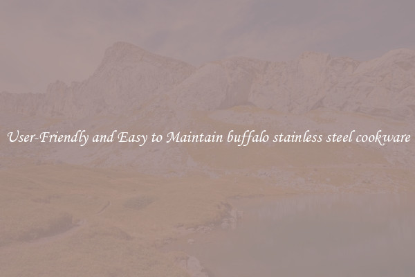 User-Friendly and Easy to Maintain buffalo stainless steel cookware