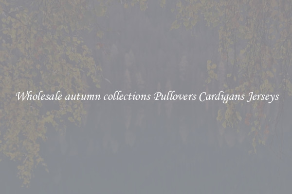 Wholesale autumn collections Pullovers Cardigans Jerseys