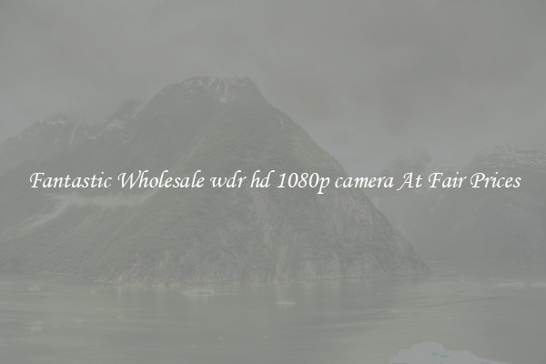 Fantastic Wholesale wdr hd 1080p camera At Fair Prices