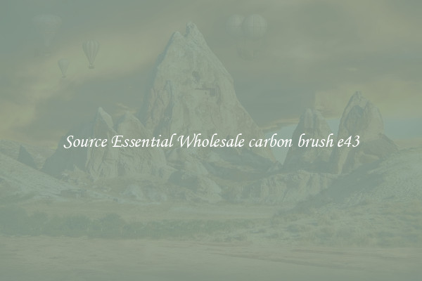Source Essential Wholesale carbon brush e43